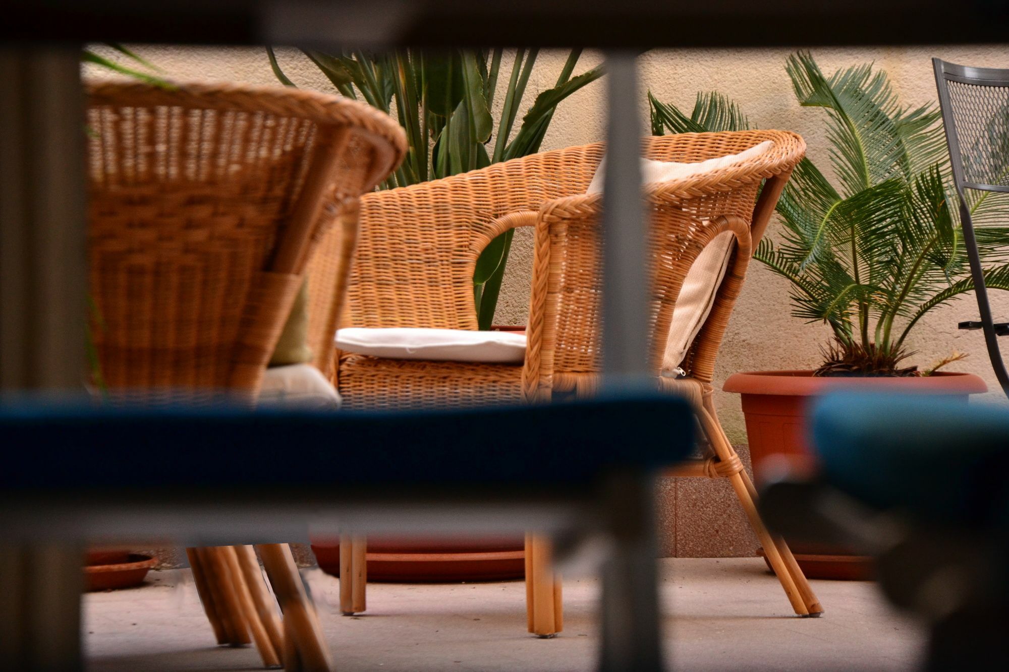 Hotel Il Lapino Palermo Zewnętrze zdjęcie